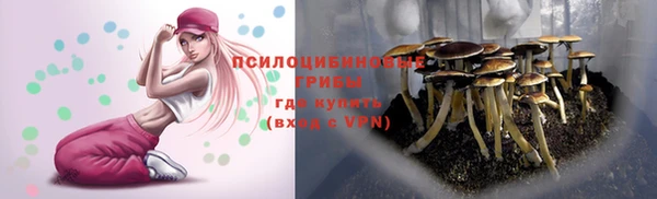 крисы Богданович