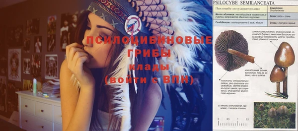 спайс Верея