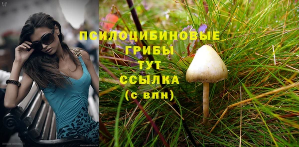 таблы Богородицк