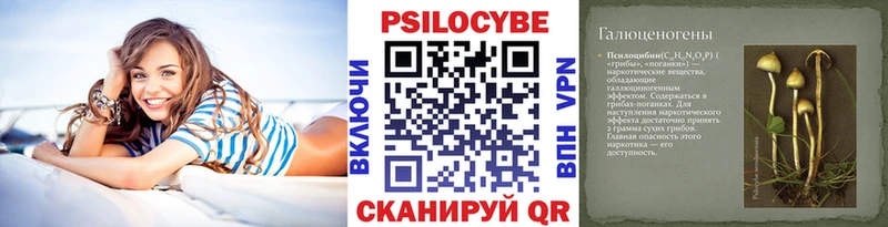хочу   Старица  Псилоцибиновые грибы прущие грибы 